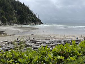 Short Sand Beach, Oswald West State Park